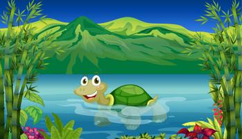 En sköldpadda i havet vektor