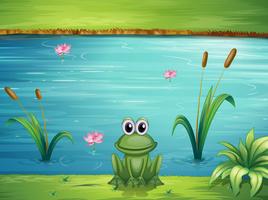 Ein Fluss und ein Frosch vektor