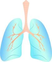 Vektordarstellung der Lunge vektor