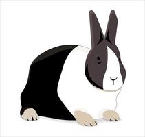 bild vektor av söt svart och vit kanin