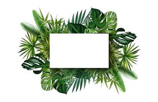 Vektor-Bild-Frame-Illustration sortierte Monstera-Bananenblätter und andere vektor