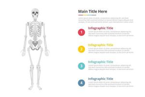 Infografik-Vorlage für menschlichen Schädel mit freiem Platz für Text mit verschiedenen Farben und Beschreibungen - Vektorillustration vektor