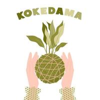 kokedama japansk mossa boll växt i kvinnliga händer. trädgårdsarbete hemma. vektor illustration.