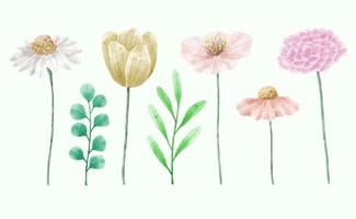 Eine Reihe von Blumen, die in Aquarellfarben für Designerarbeiten gemalt wurden