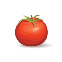 Tomat. Grönsakslogotyp. Vektor illustration av tomatprodukt tomat.