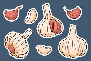 Knoblauch eingestellt. Knoblauchzehe, Nelken, geschält und geschält. vektor