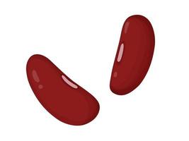 kidneybönor. röda bönor i tecknad stil. hälsosam vegetarisk mat illustration. vektor
