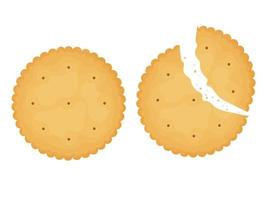 ganze und zerbrochene Cracker. illustration von essen, snacks. gesunder Snack. vektor