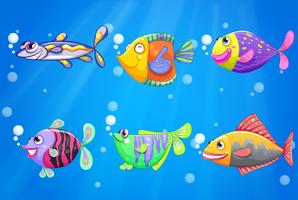Ein Ozean mit sechs bunten Fischen vektor