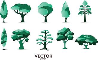 Vektor-Designer-Elemente setzen Sammlung von grünen Dschungelfarnen, natürliche Blattkräuterblätter der tropischen Eukalyptuskunst im Vektorstil. dekorative Schönheit elegante Illustration für Design vektor