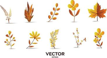Vektor-Designer-Elemente setzen Sammlung von orangefarbenen Dschungelfarnen, natürliche Blattkräuterblätter der tropischen Eukalyptuskunst im Vektorstil. dekorative Schönheit elegante Illustration für Design vektor