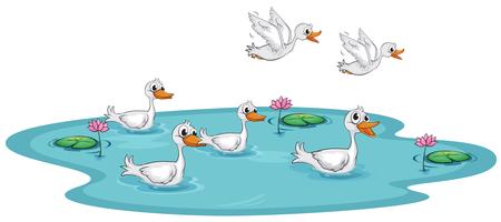 Eine Gruppe von Enten am Teich vektor