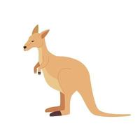 känguru australiska djur vektor