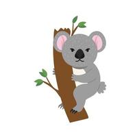 koala australiskt djur vektor