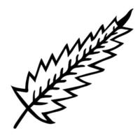 abstraktes Zichorienblatt-Vektorsymbol. von Hand gezeichnete Illustration lokalisiert auf weißem Hintergrund. schwarze Silhouette eines Blattes einer Heilpflanze. Botanische Skizze. Blatt mit Adern am Blattstiel. vektor