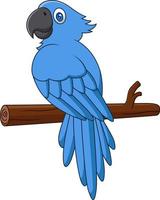 niedlicher blauer papagei der karikatur auf einem ast