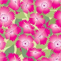 Blommigt sömlöst mönster. Blomma bakgrund. vektor