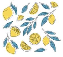Symbolsatz Zitrone, Vektorillustration auf weißem Hintergrund. die ganze Frucht und in Stücke schneiden. Zitrusfrüchte. vektor