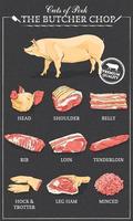 Schweinefleisch-Diagramm Teil des Schweinefleisch-Fleisch-Sets. poster metzger diagramm vintage typografische handgezeichnete vektorillustration auf schwarz vektor