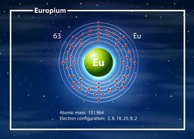 Eropium auf dem Periodensystem vektor