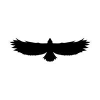 eagle logotyp, silhuetter av fåglar, eagle, eagle silhouette design, animal silhouette, silhouette design vektor