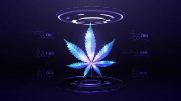 blått digitalt hologram av hampablad med kemiska formler av naturliga cannabinoider och digitala ringar i mörkt rum vektor