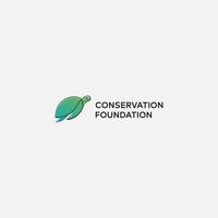 enkel eco turtle conservation logo foundation vektor