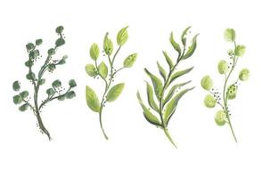 seamless mönster med gröna akvarell blad. sommaren handritad illustration vektor