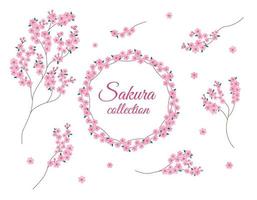 sakura blumen zweige isoliert satz. Vektorsammlung von Sakura-Blüten. entwerfen Sie florale Elemente und runden Rahmen auf weißem Hintergrund vektor