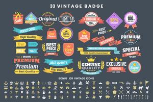 Vintage Retro Vector Logo för banner