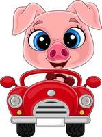 karikaturbabyschwein, das rotes auto fährt vektor