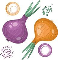 Heller Vektorsatz aus roten und gelben Zwiebeln. frisches Cartoon-Gemüse isoliert auf weißem Hintergrund. die illustration wird für ein magazin, ein buch, ein poster, eine postkarte, ein menücover und webseiten verwendet. vektor