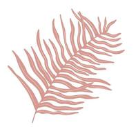palmblad på en vit bakgrund. vektorgrafik. ritad för hand vektor