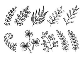 freihändig handgezeichnete botanische blätter doodle set pack. Premium-Vektor. vektor