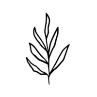 Botanische Illustration. Farn, Eukalyptus, Buchsbaum. Vintage Blumenhintergrund. Vektor-Design-Elemente. isoliert. Schwarz und weiß. vektor