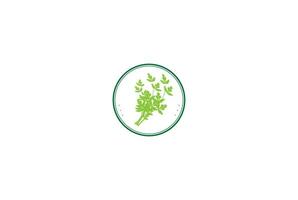 Vintage retro grüner Sellerie-Petersilien-Gemüse-Logo-Design vektor