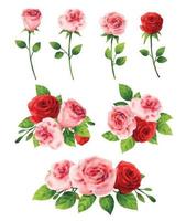rosa ros blomma set för alla hjärtans dag i akvarell stil. vektor