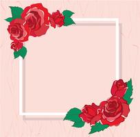 valentines hälsningskort med röda rosor bakgrund vektor illustration