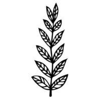 gren med löv vektor ikon. handritad doodle isolerad på vit bakgrund. en rak kvist med stora ovala ådrade blad. botanisk skiss. monokromt koncept för dekoration och design.