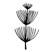 fältet växt vektor ikon. handritad illustration isolerad på vit bakgrund. vild åkerfräken botanisk skiss. tjock stjälk med långa, tunna blad. en gren av en medicinsk ört. monokromt koncept.