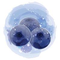 blåbär akvarell clipart illustration med lila bakgrund. vektor