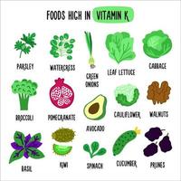 livsmedel som innehåller mycket k-vitamin. vektorillustration med hälsosam mat rik på vitamin k. insamling av ekologisk mat vektor