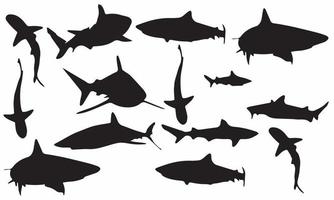 Vektor-Illustration-Design von Haien Predator Silhouetten Schwarz-Weiß-Hintergrund-Sammlung vektor