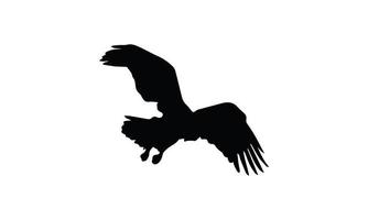 eagle silhouette vektor illustration design