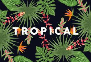 Hintergrund der exotischen tropischen Pflanzen vektor