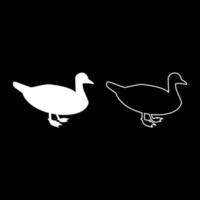 anka manlig gräsand fågel vattenfågel sjöfågel fjäderfä fågel canard siluett vit färg vektorillustration heldragen kontur stil bild vektor