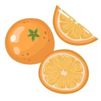 uppsättning färska hela, halva, skivade skivor av apelsin frukt, isolerad på en vit bakgrund. mandarin. ekologiska frukter. tecknad stil. vektor illustration för någon design.