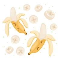 saftige Fruchtbananen für einen gesunden Lebensstil. Banane, ganze Frucht und Hälfte. Vektorillustration im Cartoon-Stil auf einer isolierten Ebene für jedes Design vektor