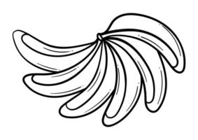 handgezeichneter Bananenstrauß vektor