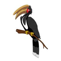 hornbill vektor